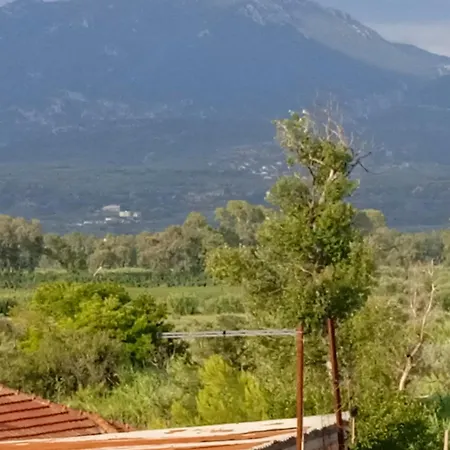 Info στούντιο