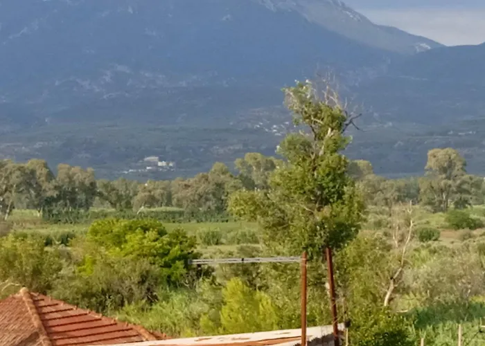 Info στούντιο